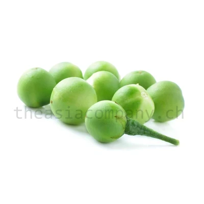 Aubergine klein grün_1